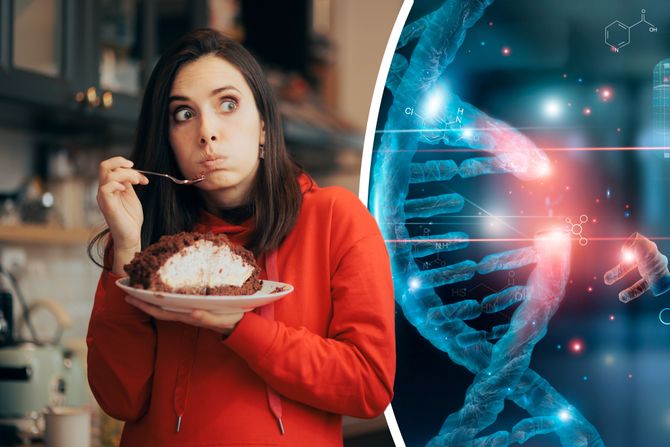 Drevni DNK, ugljeni hidrati, šećeri