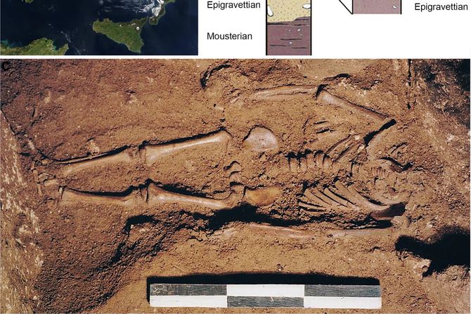 Istraživanje, skelet, Grota dele Mura