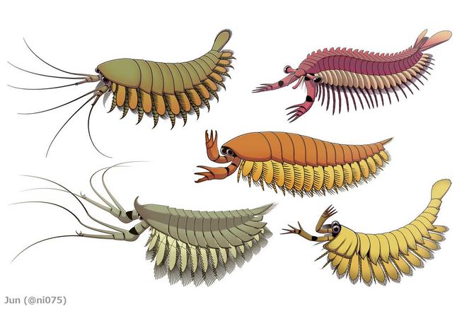 Megacheira zglavkari