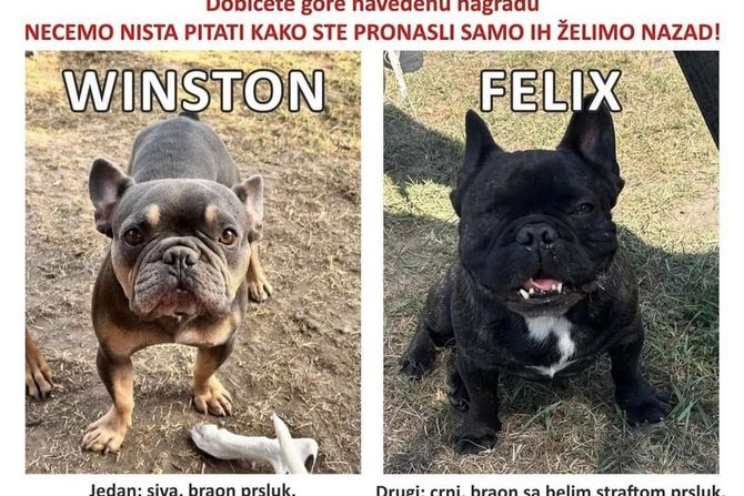 Oglas izgubljeni psi