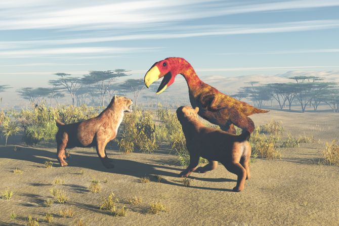 Ptica ubica, sabljozubi tigrovi