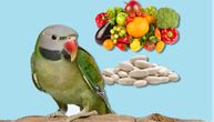 I ptice vole da se zaslade: Ovo su najbolje vitaminske poslastice, jednu koja se kuva obožavaju i ljudi
