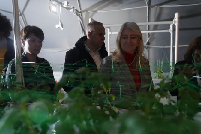 Institut za biološka ispitivanja Siniša Stanković, dr Jelena Begović