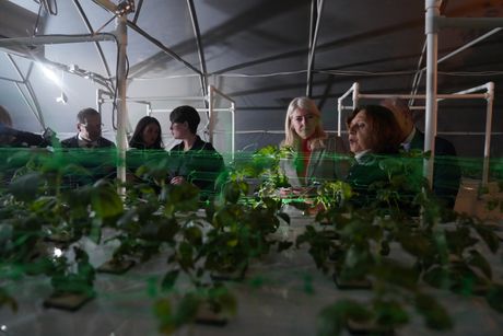 Institut za biološka ispitivanja Siniša Stanković, dr Jelena Begović