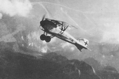 avion Albatros D III avion Albatros D III