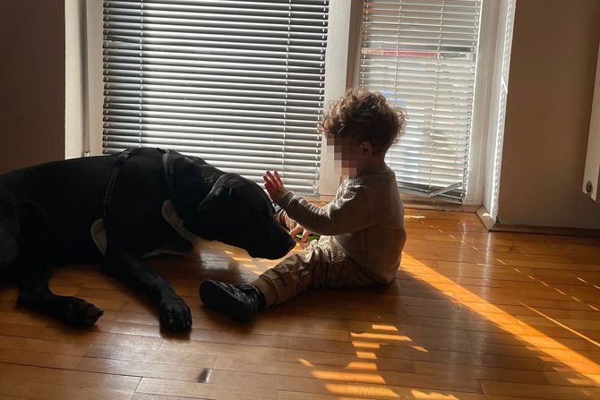 Mali Bogdan i njegov pas Đole