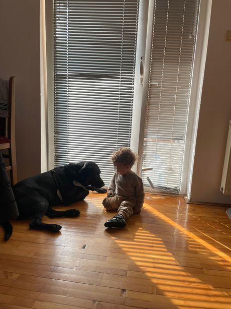 Mali Bogdan i njegov pas Đole