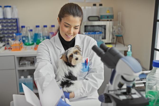 Psi i istraživanje gena