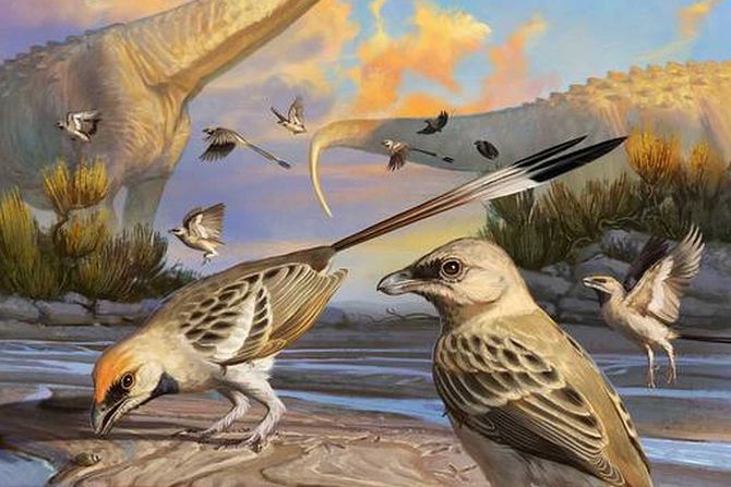 Navaornis, ptice, dinosaurusi