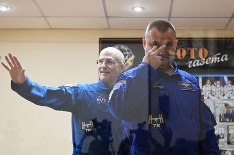 Don Petit, Aleksej Ovčinin