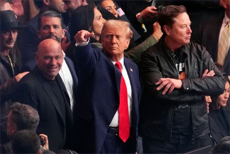 Ilon Mask Donald Tramp Ilon Mask Donald Tramp