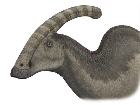 parasaurolofus