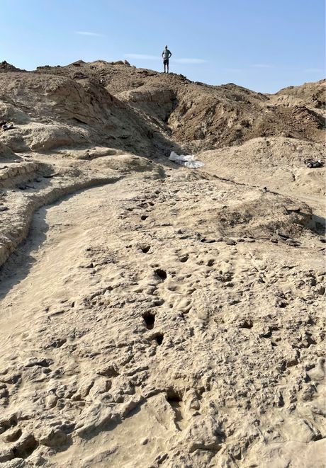 Otisci stopala na jezeru Turkana