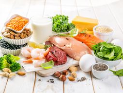 Biljni i životinjski proteini