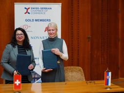 Jelena Begović, memorandum, Novartis