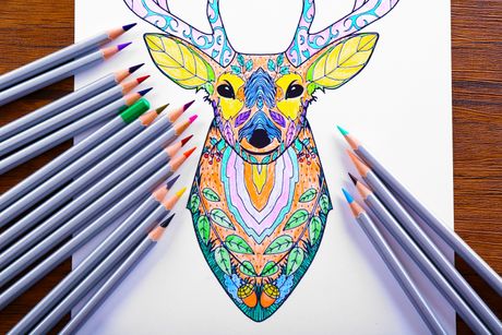 Bojanke sa temom životinja