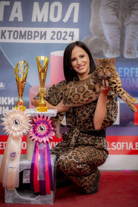 Jubile Master Grand Europien Champion Sundiata Raja i njegova vlasnica Mia Milojević