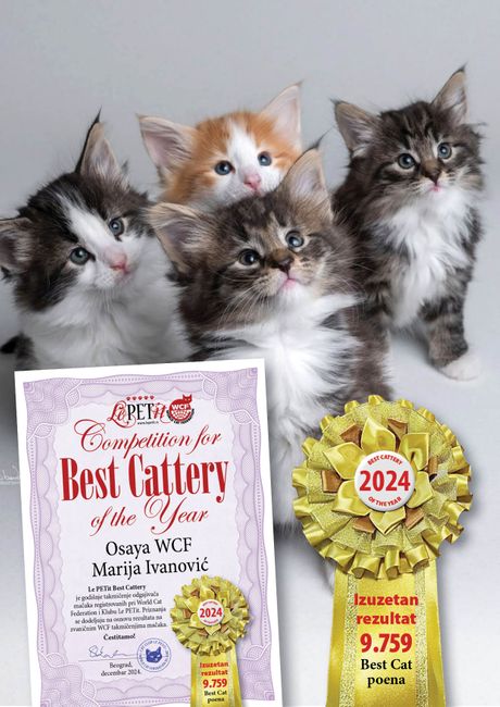 Odgajivačnica Osaya WCF jedna od 10 najboljih u 2024. godini