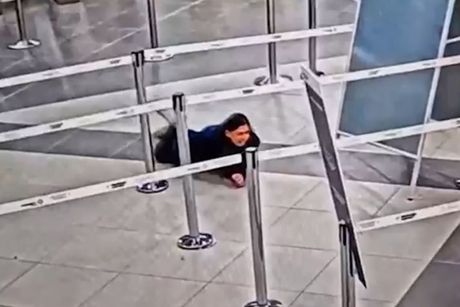 Žena puzi na aerodromu Nikola Tesla Žena puzi na aerodromu Nikola Tesla