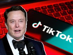 Elon Musk, TikTok