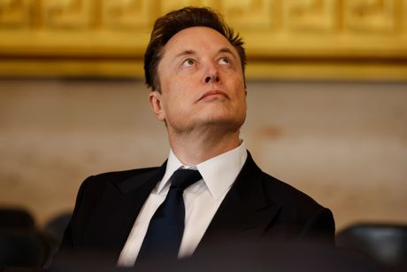 Inaguracija Donalda Trampa, Ilon Mask