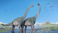 Zašto nisu postojali sićušni dinosaurusi? Sisari bi mogli biti krivci
