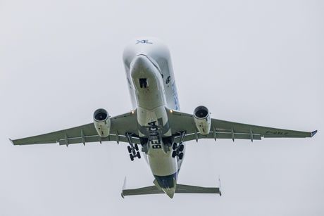 Airbus Beluga XL