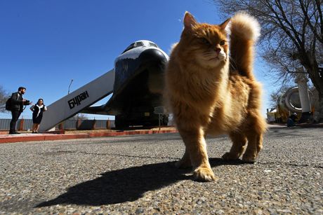 BURAN 2 BURAN 2