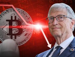 Bitkoin pad cene, Bil Gejts