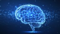 Naučnici otkrivaju skrivene blokove za učenje u mozgu