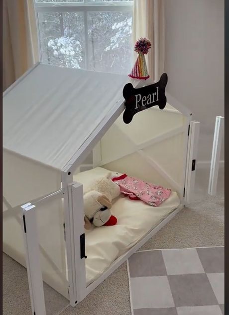 Zlatni retriver Perl