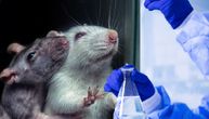 Zdravstveni efekti se zadržavaju 20 generacija nakon izloženosti pacova fungicidu