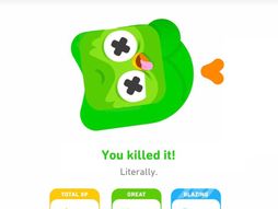 Duolingo sova