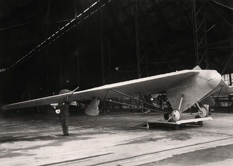 Westland Pterodactyl Westland Pterodactyl