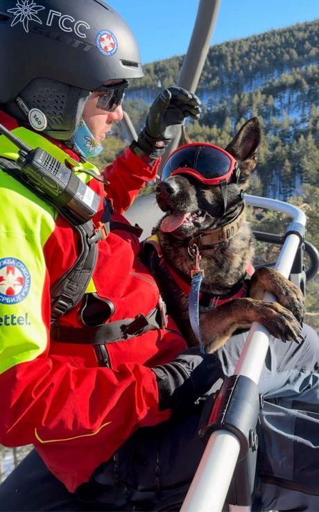 Gorska služba spasavanja potraga za Dunjom Marković, pas Mala