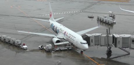 JAL B737-800 JA342J JL461 JAL B737-800 JA342J JL461