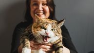 Ovih 14 rasa mačaka ponekad su agresivnije od pasa: Jedna napada i vlasnika ako joj previše uđe u teritoriju