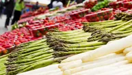 Tanka špargla za brza jela, debela za roštilj: Praktični vodič za maksimalan ukus prolećnog povrća