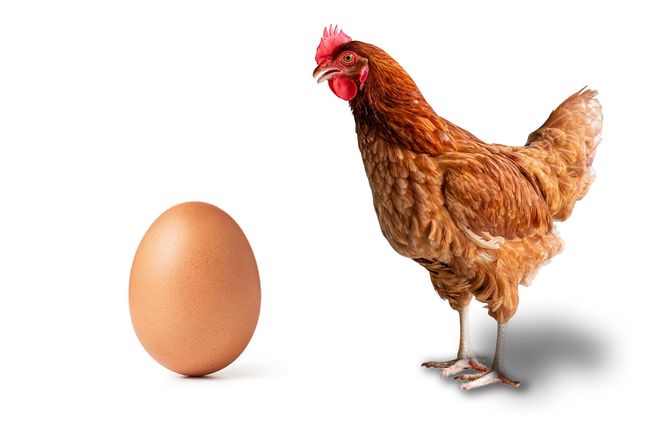 jaje, kokoska