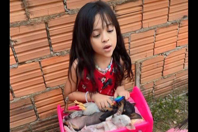 Helena Sofija i njeni psi