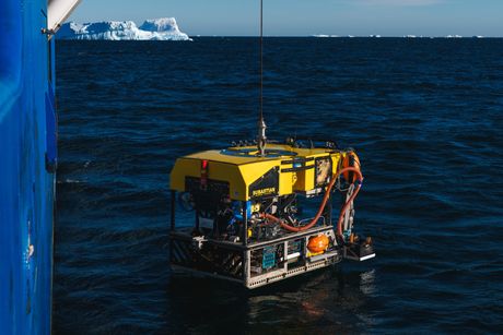 Antarktik, ledeni breg