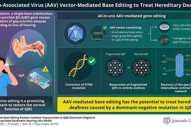 genska modifikacija leči naslednu gluvoću