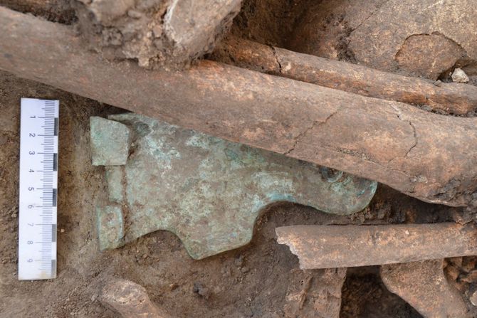 Beč, masovna grobnica