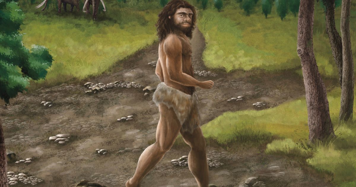 Da li su se homo erektus i denisovci parili? Proteini iz zuba ukazuju na drevne susrete