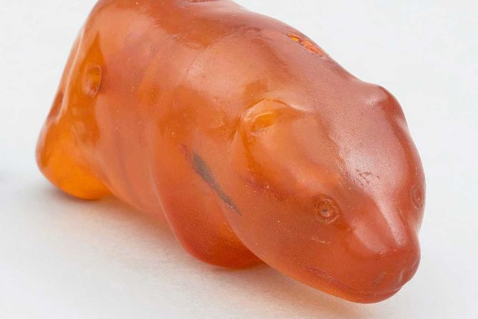 Slupcio, medvedić, ćilibar