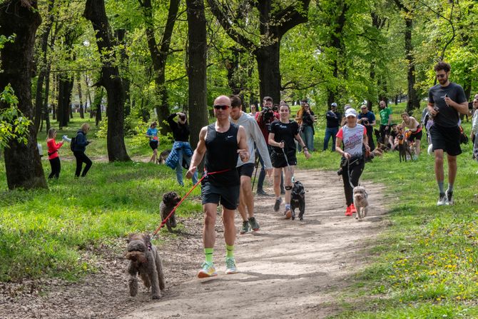 "Trči ljubav – Fantastičnih 10“, javni i besplatni čas trčanja sa psima