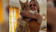 Za ovu gigantsku mačku ljudi misle da je pas: Mejn kun dugačak 130 cm, jede kao mećava, a ovoliko košta hrana