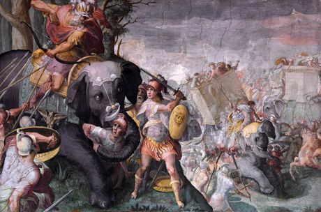 Slonovi, bitka na Hidaspu