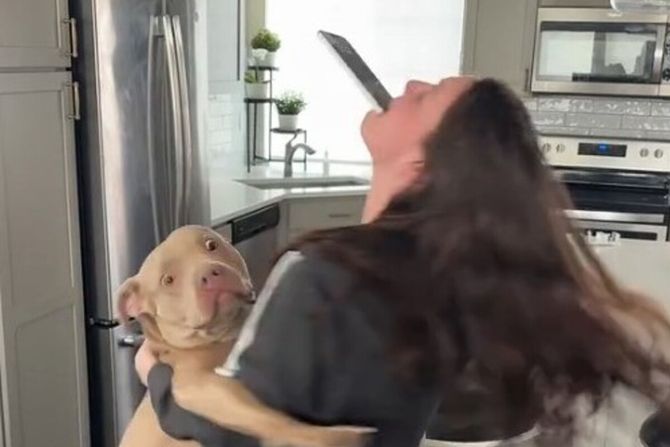 Pas i vlasnik novi trend