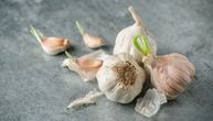 Da li je proklijali beli luk dobar za vaše zdravlje? Zdravstvene prednosti i saveti za čuvanje